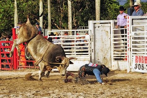 The Aracade Raid/Homestead Stampede 2025 𝚆𝚊𝚝𝚌𝚑 On Virtual Platforms
